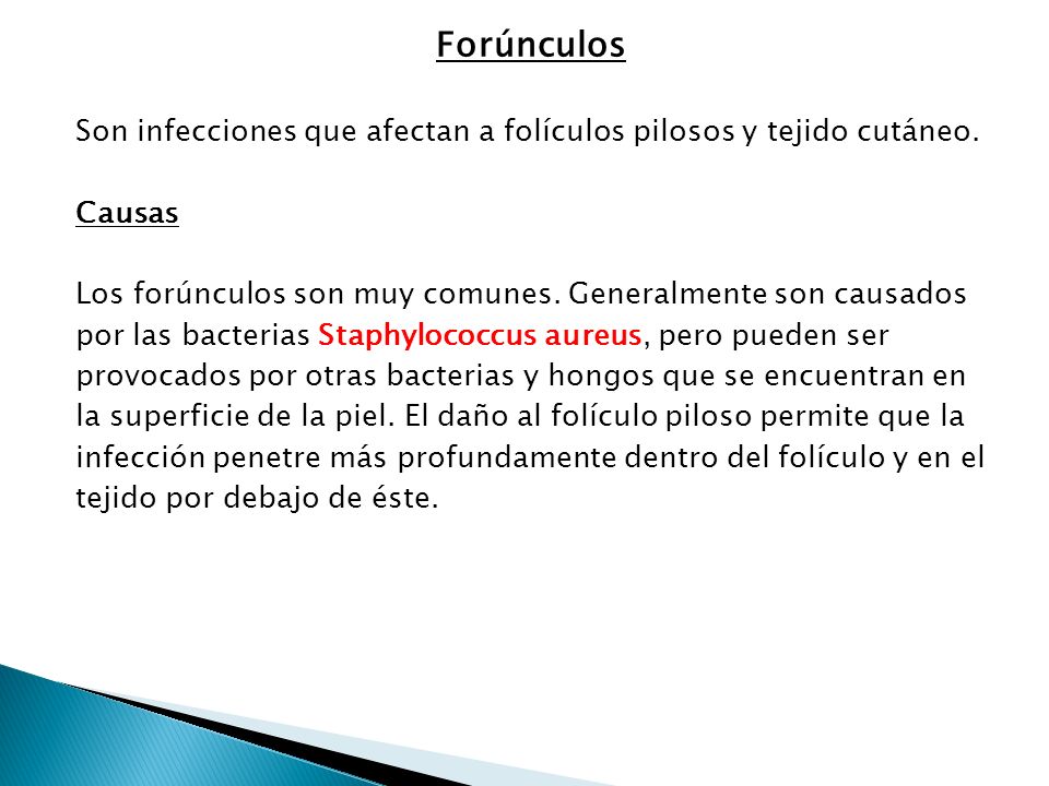 El hongo sobre las uñas la transmisión la salud